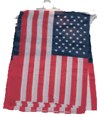String of 20 12x18" flags of United States