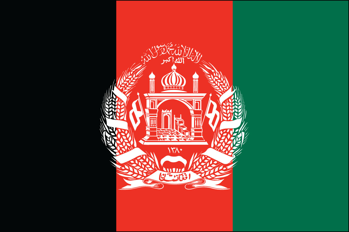 12x18" poly flag on a stick of Afghanistan