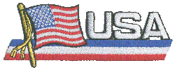 Cut-Out Flag Patch of United States
