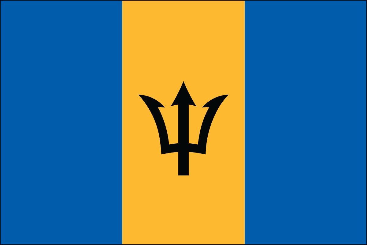 12x18" poly flag on a stick of Barbados - 12x18" polyester flag of Barbados.<BR>Combines with our other 12x18" polyester flags for discounts.