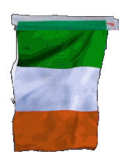 String of 20 12x18" flags of Ireland
