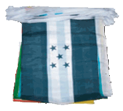 String of 20 12x18" flags of Latin America