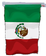 String of 20 12x18" flags of Mexico