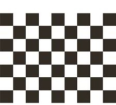 12x18" poly flag on a stick of Checkered
