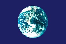 12x18" poly flag on a stick of Earth