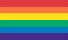 12x18" poly flag on a stick of Rainbow