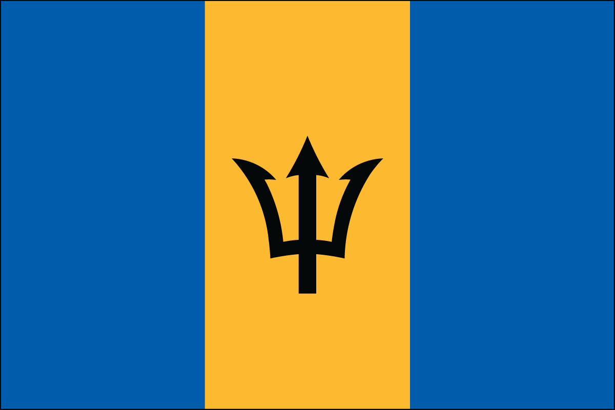 12x18" poly flag on a stick of Barbados