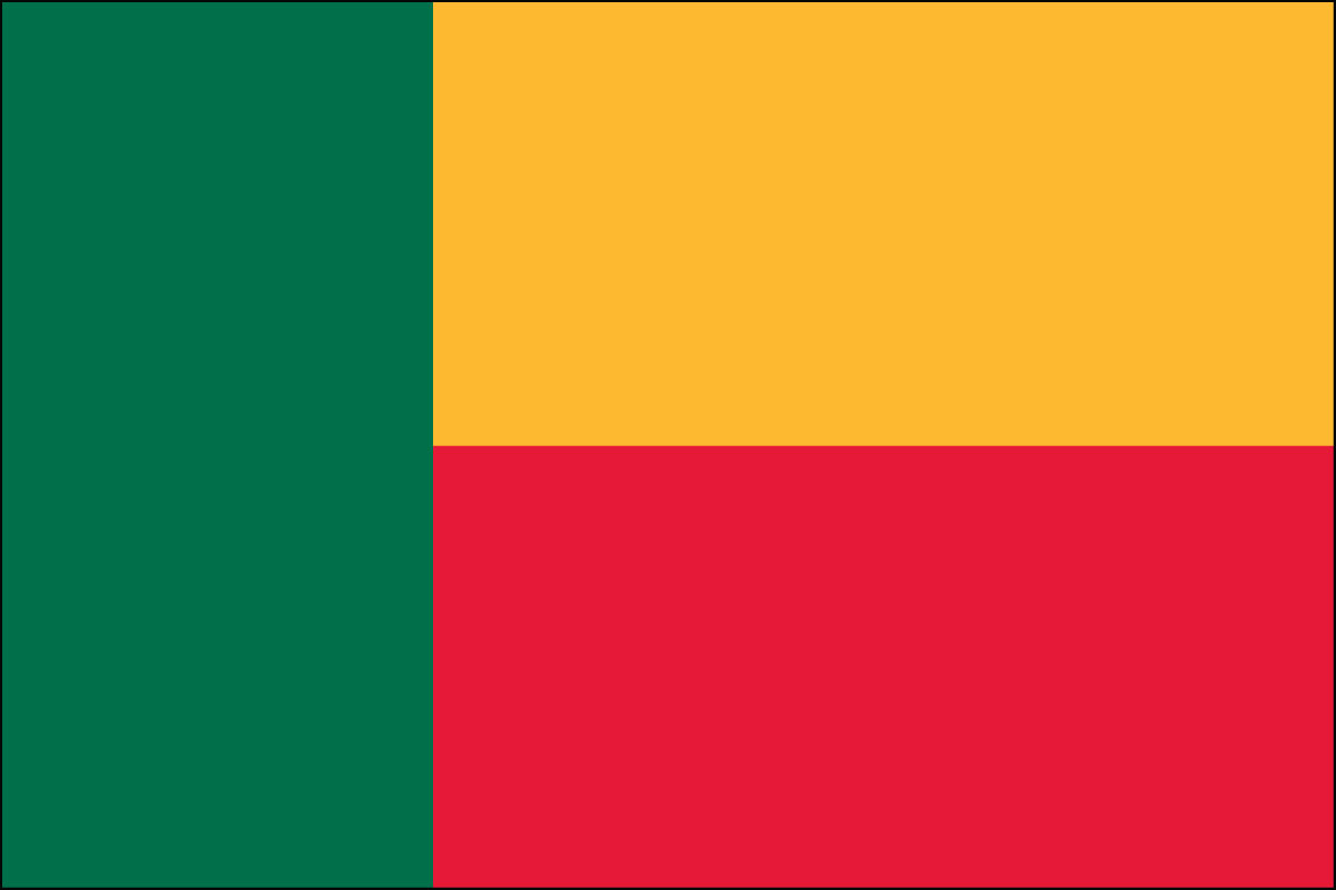 12x18" poly flag on a stick of Benin