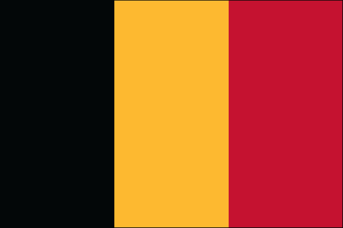 3x5' poly flag of Belgium