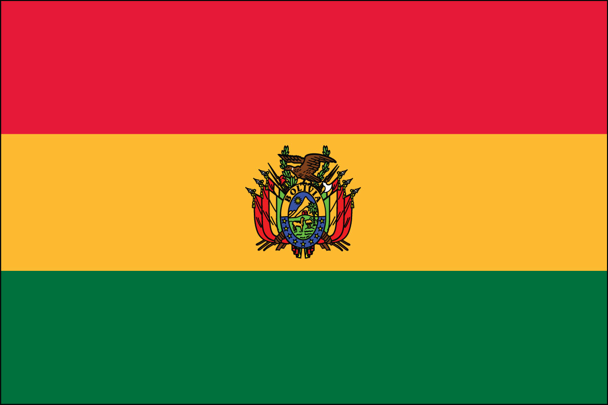 2x3' Poly flag of Bolivia