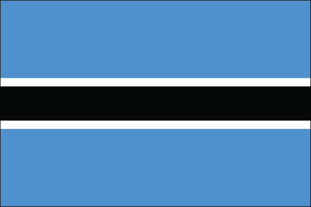 12x18" poly flag on a stick of Botswana