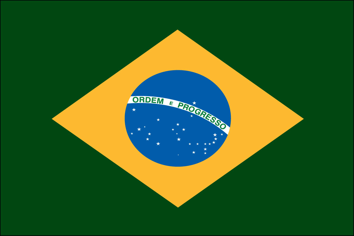 12x18" poly flag on a stick of Brazil