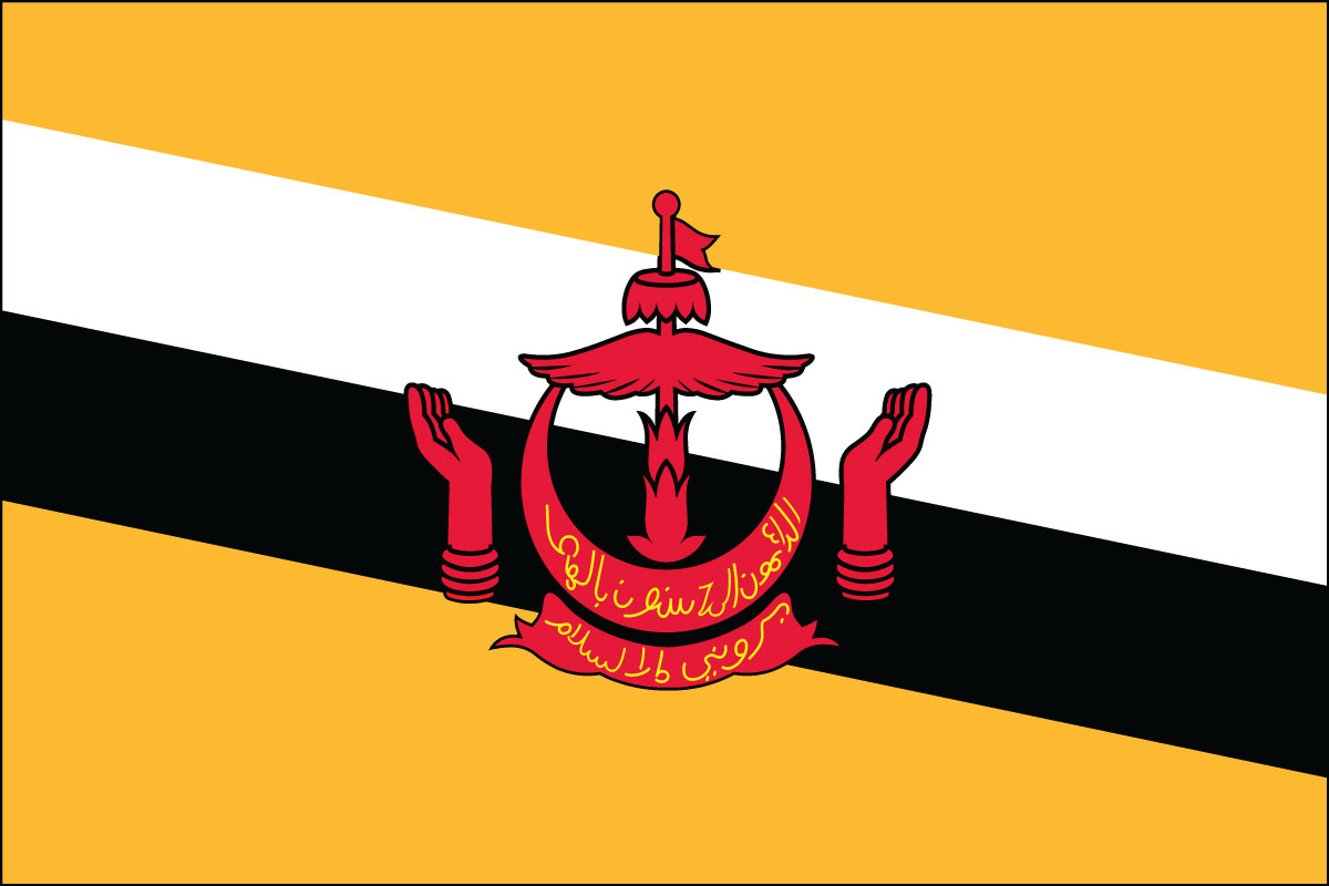 12x18" poly flag on a stick of Brunei