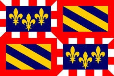 2x3' Poly flag of Burgundy (France)