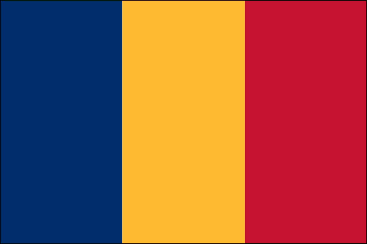 2x3' Poly flag of Chad