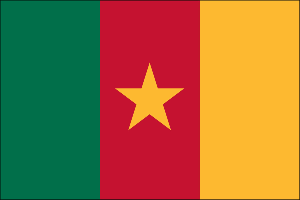 12x18" poly flag on a stick of Cameroon