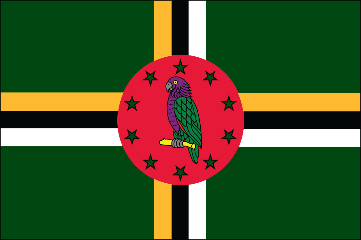 2x3' Poly flag of Dominica