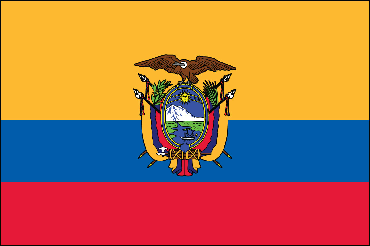 2x3' Poly flag of Ecuador