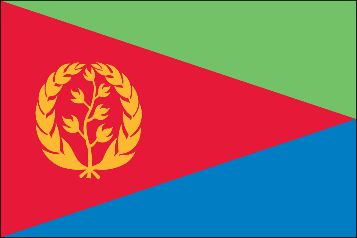 2x3' Poly flag of Eritrea