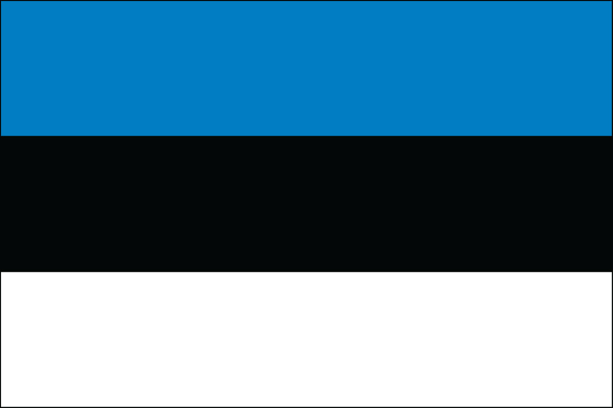 2x3' Poly flag of Estonia