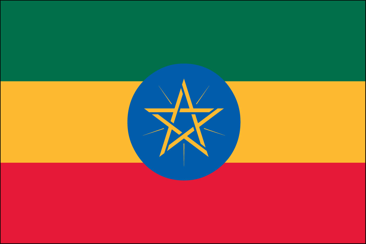 2x3' Poly flag of Ethiopia