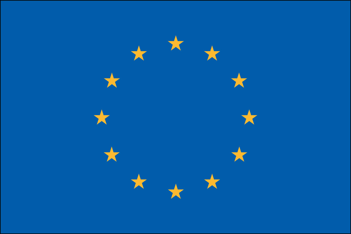 2x3' Poly flag of European Union