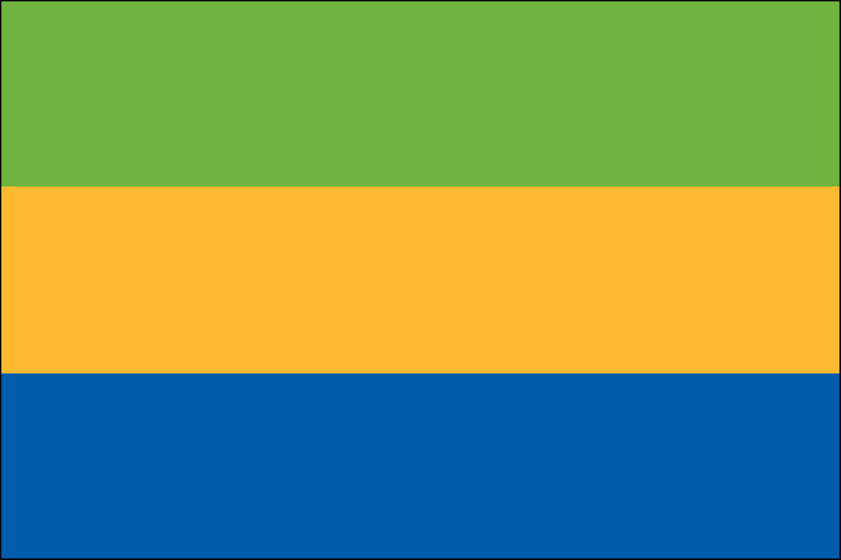 2x3' Poly flag of Gabon