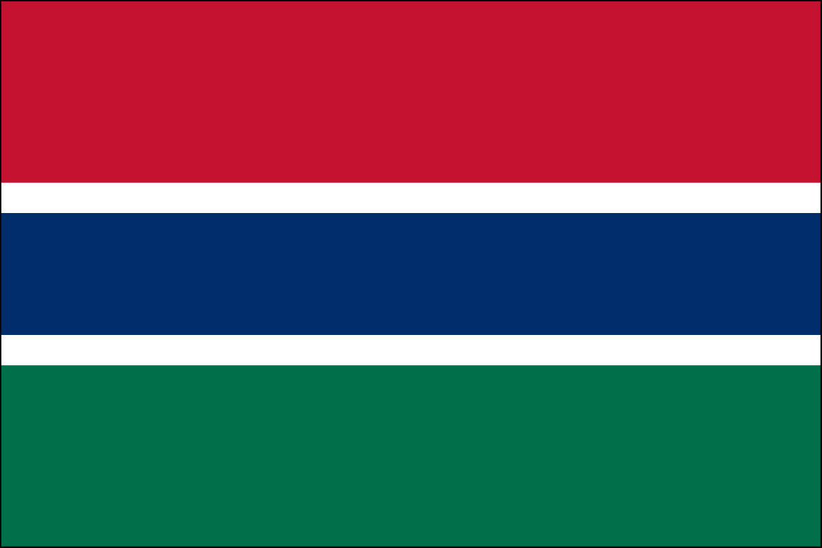 2x3' Poly flag of Gambia