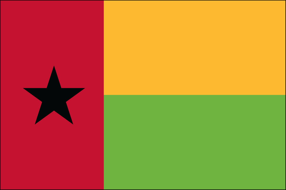 2x3' Poly flag of Guinea-Bissau
