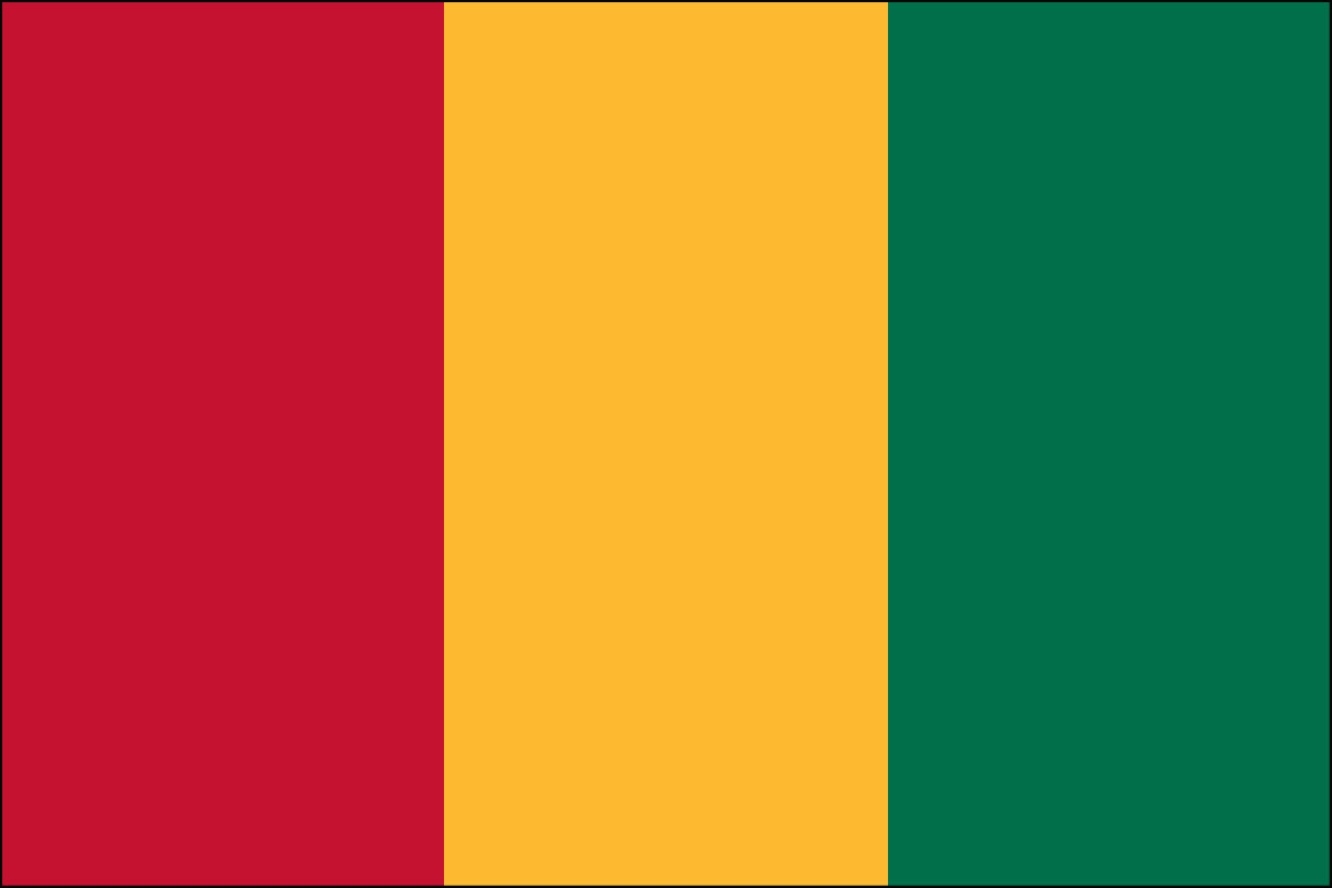2x3' Poly flag of Guinea