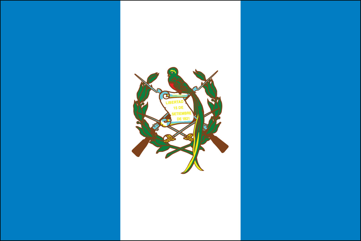 2x3' Poly flag of Guatemala