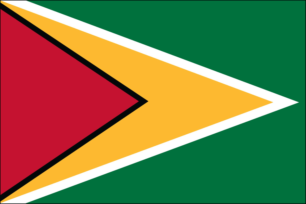 2x3' Poly flag of Guyana