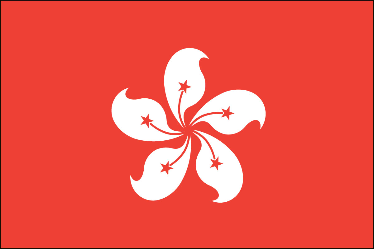 2x3' Poly flag of Hong Kong