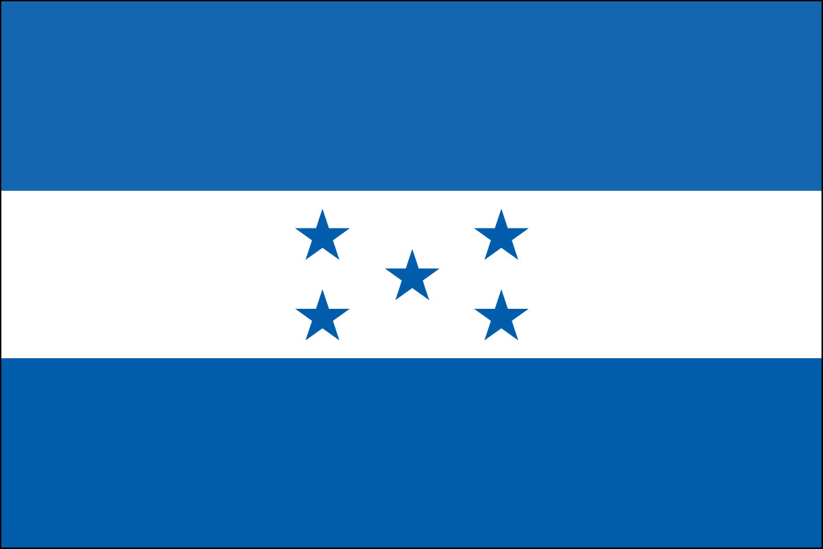 2x3' Poly flag of Honduras