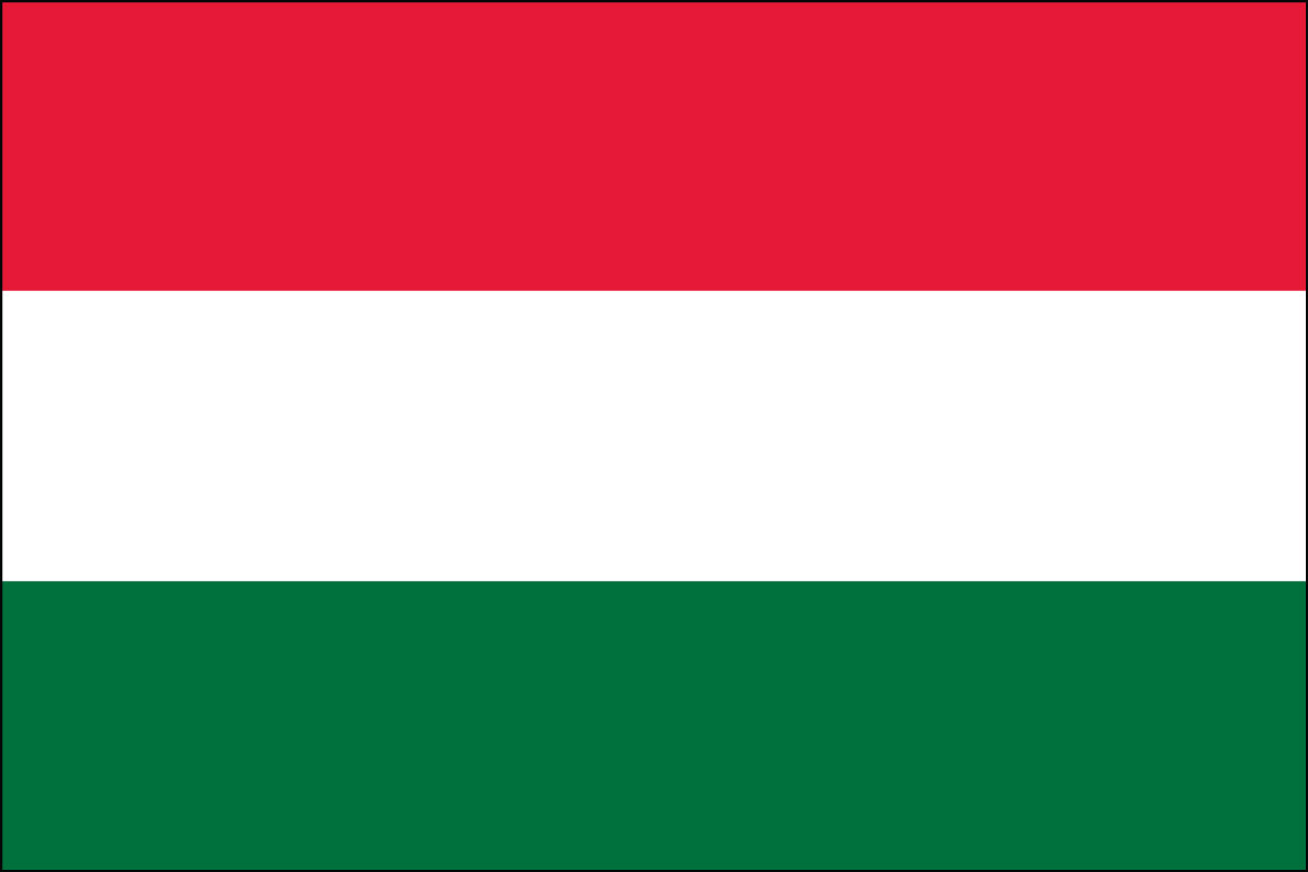 2x3' Poly flag of Hungary