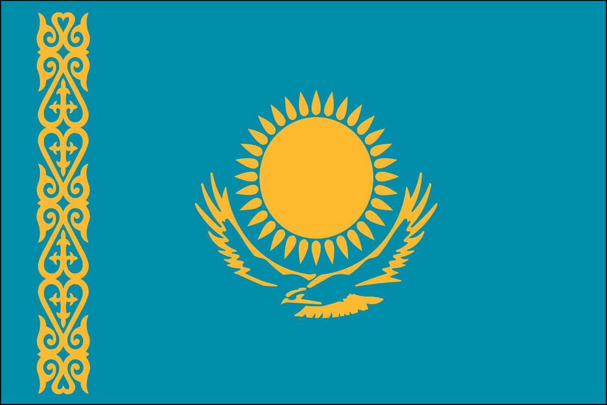 2x3' Poly flag of Kazakhstan