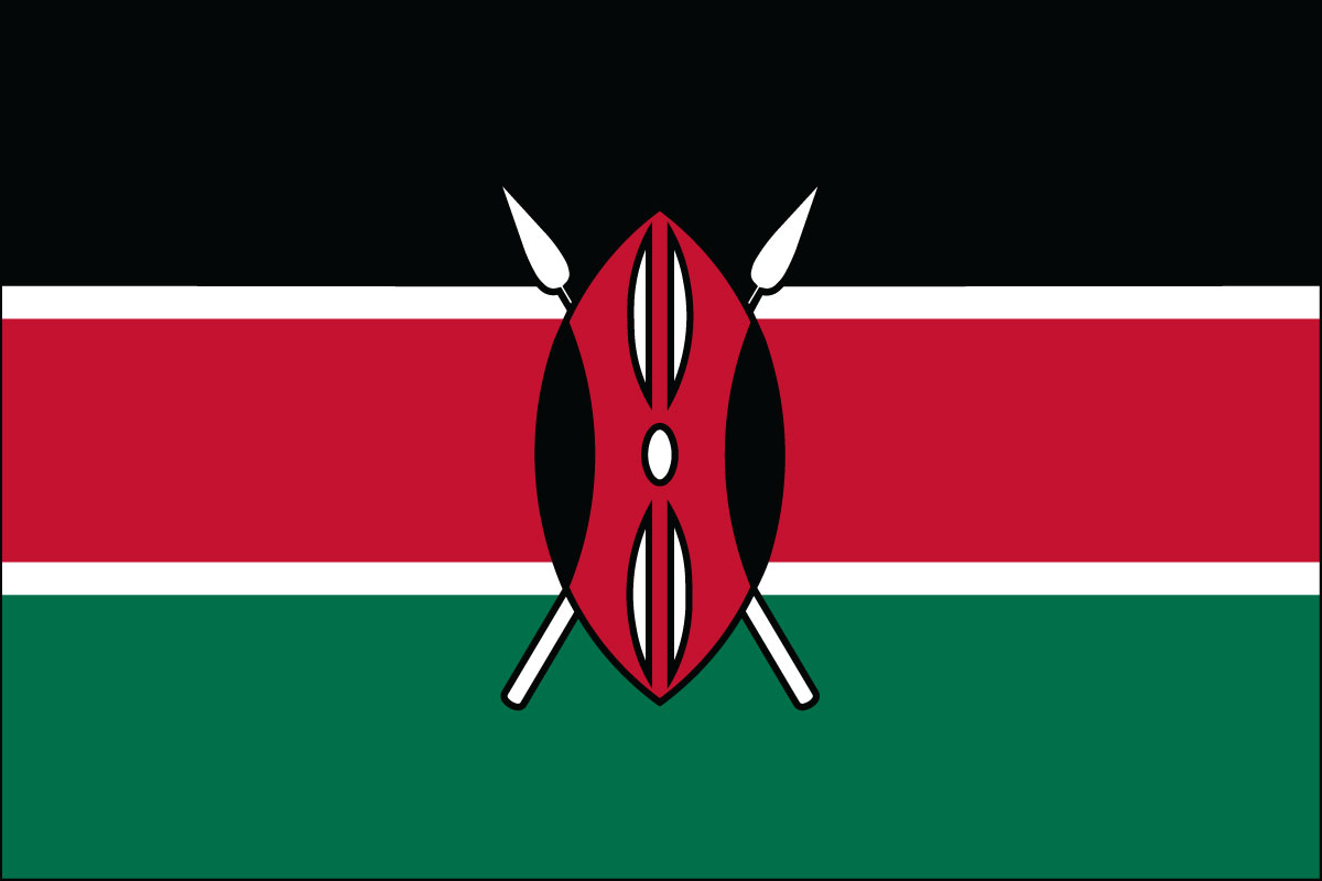 2x3' Poly flag of Kenya