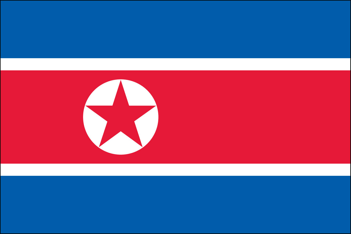 2x3' Poly flag of Korea - North