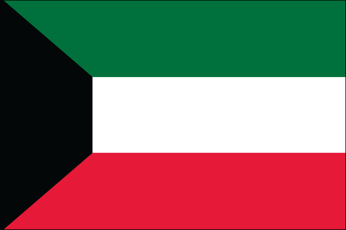 2x3' Poly flag of Kuwait