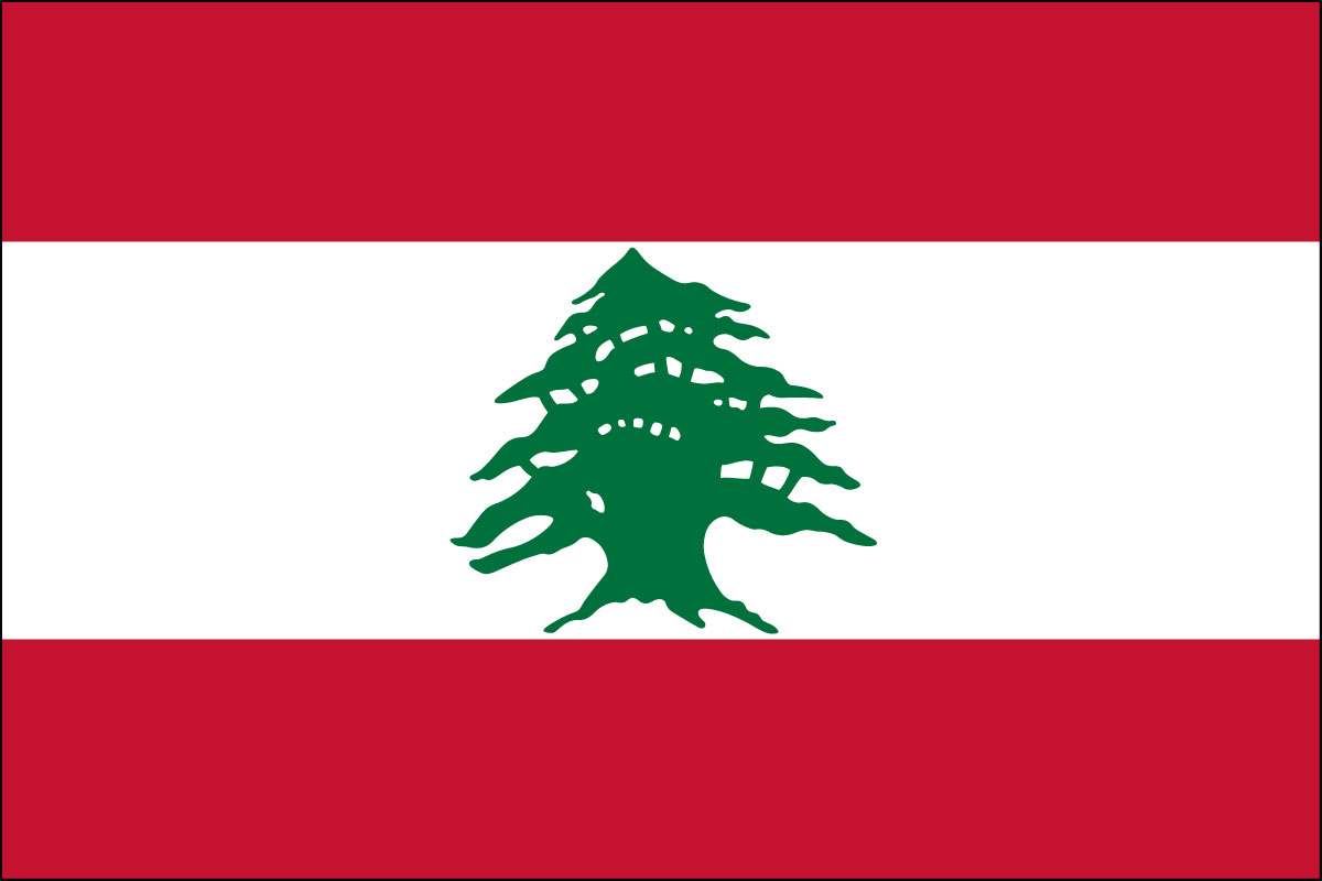 2x3' Poly flag of Lebanon