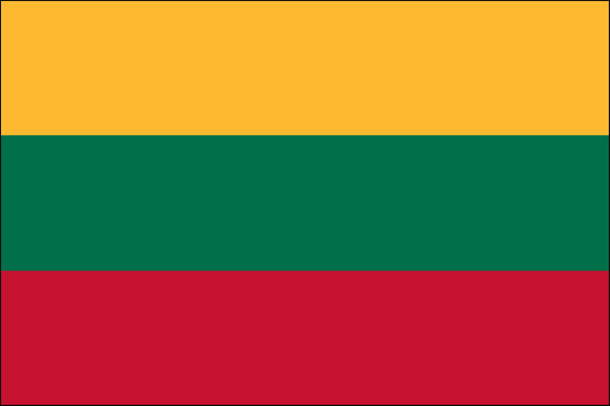 2x3' Poly flag of Lithuania