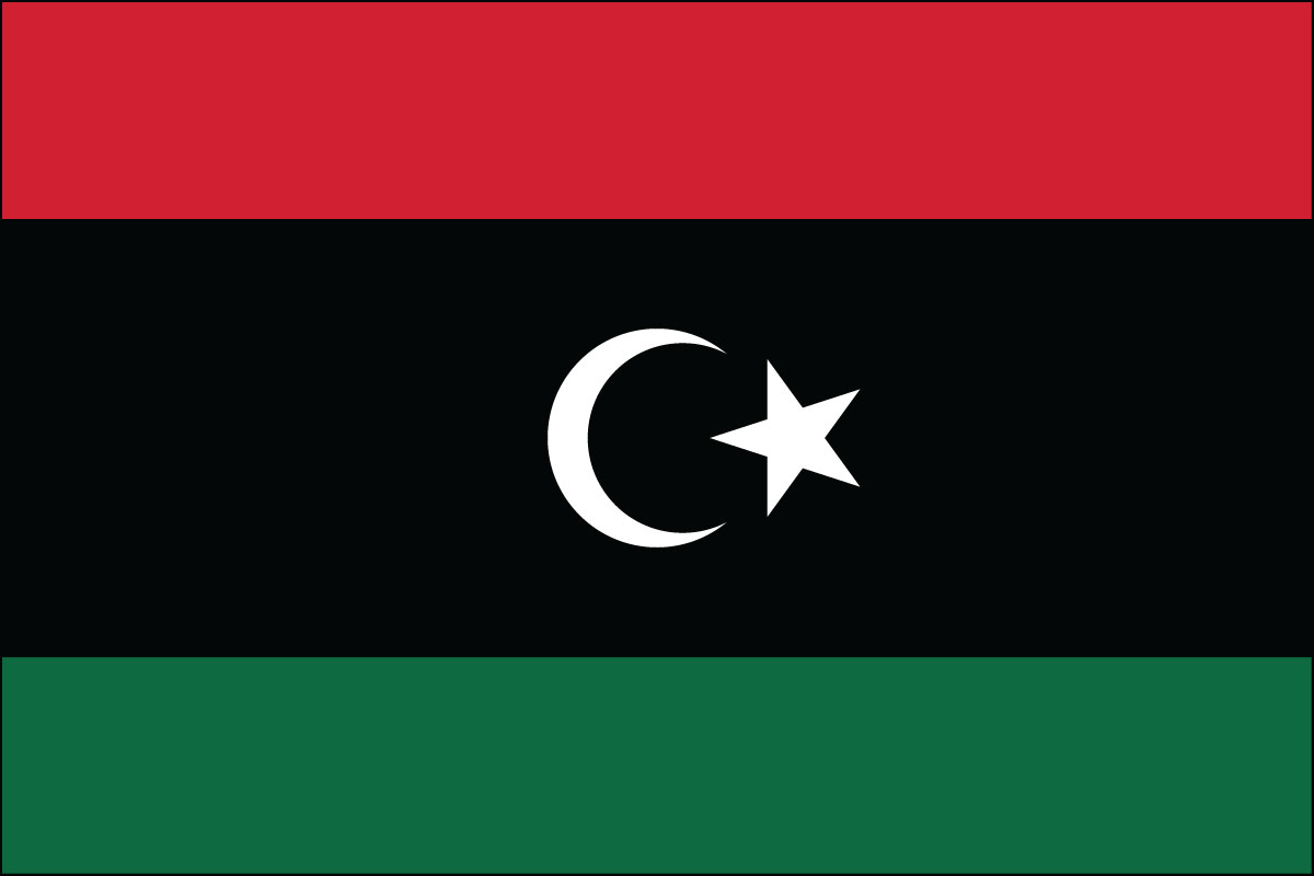 2x3' Poly flag of Libya