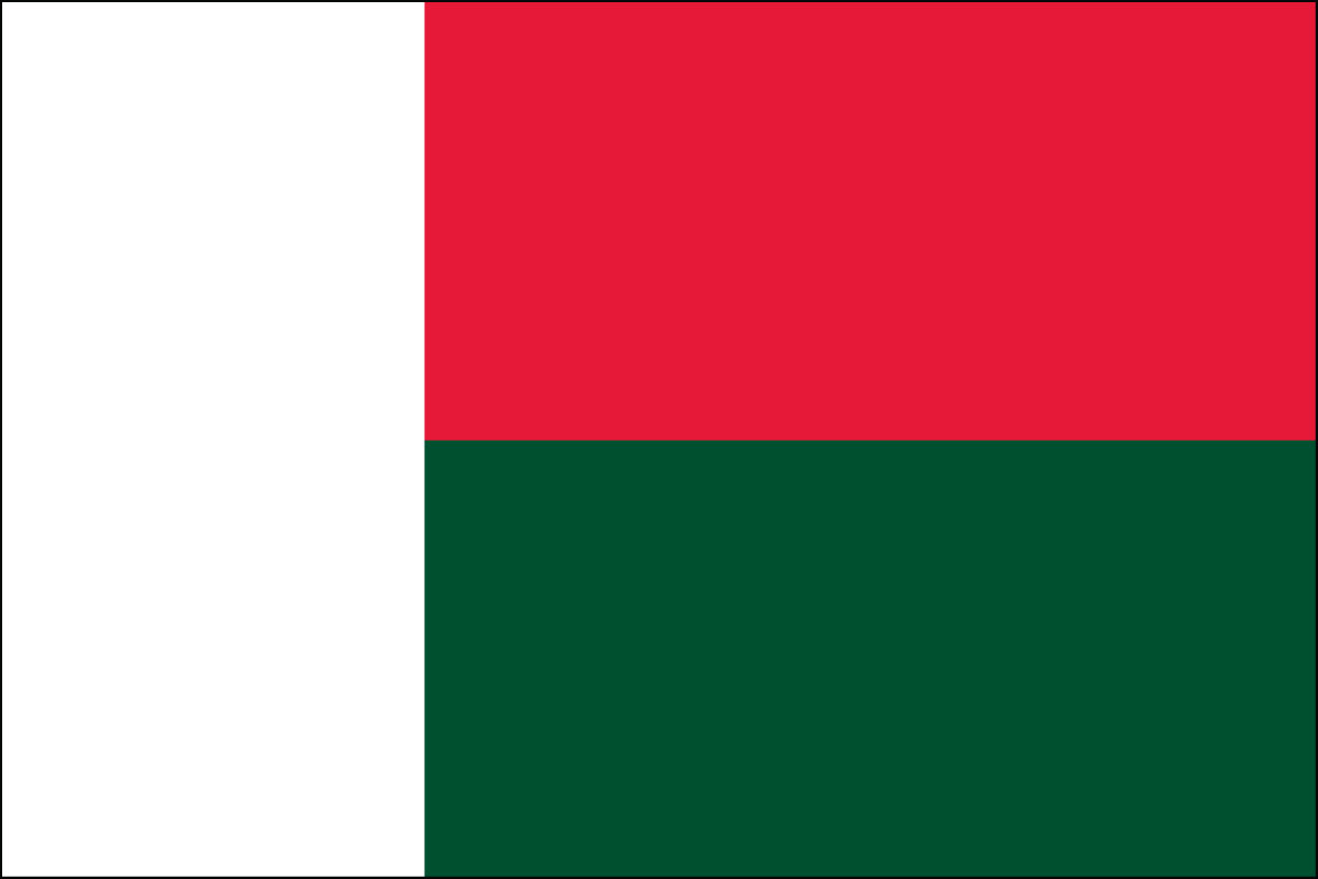 2x3' Poly flag of Madagascar