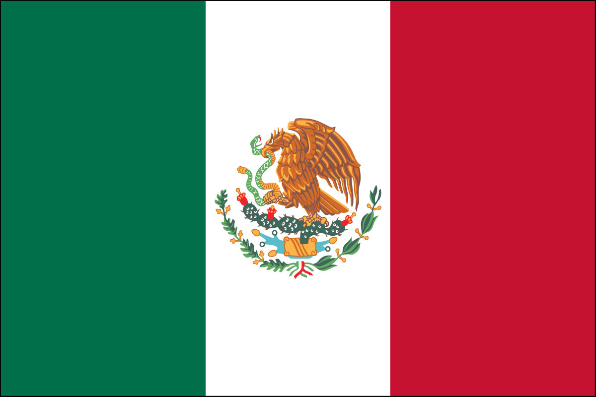 2x3' Poly flag of Mexico