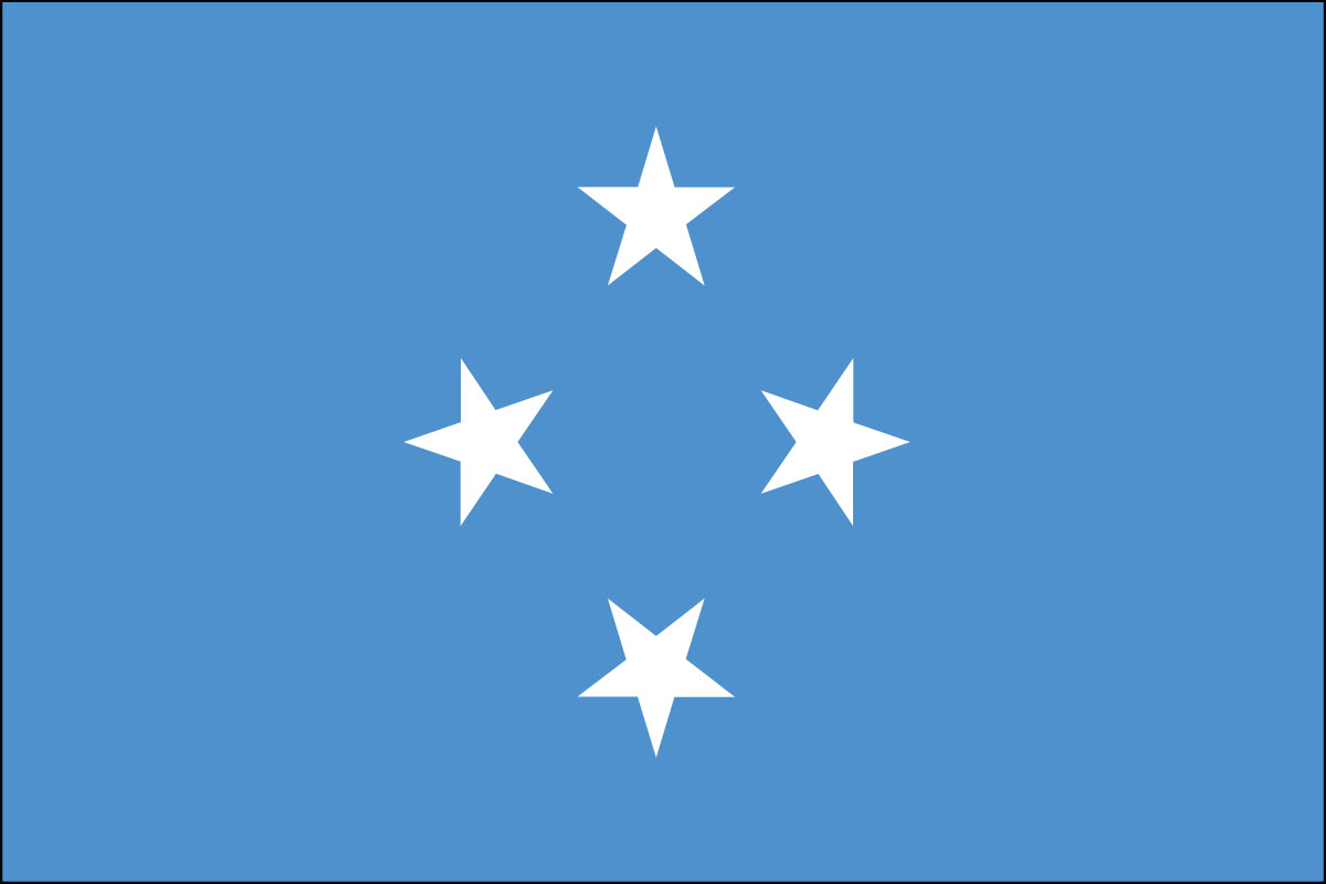 2x3' Poly flag of Micronesia