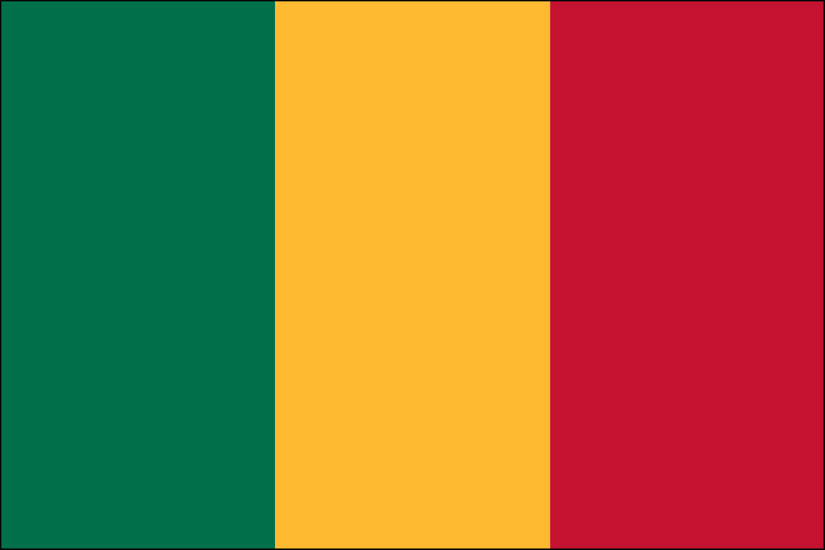 2x3' Poly flag of Mali