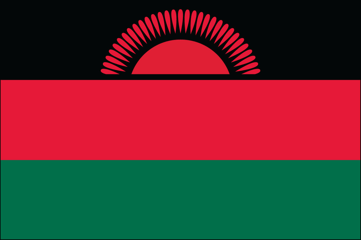 2x3' Poly flag of Malawi