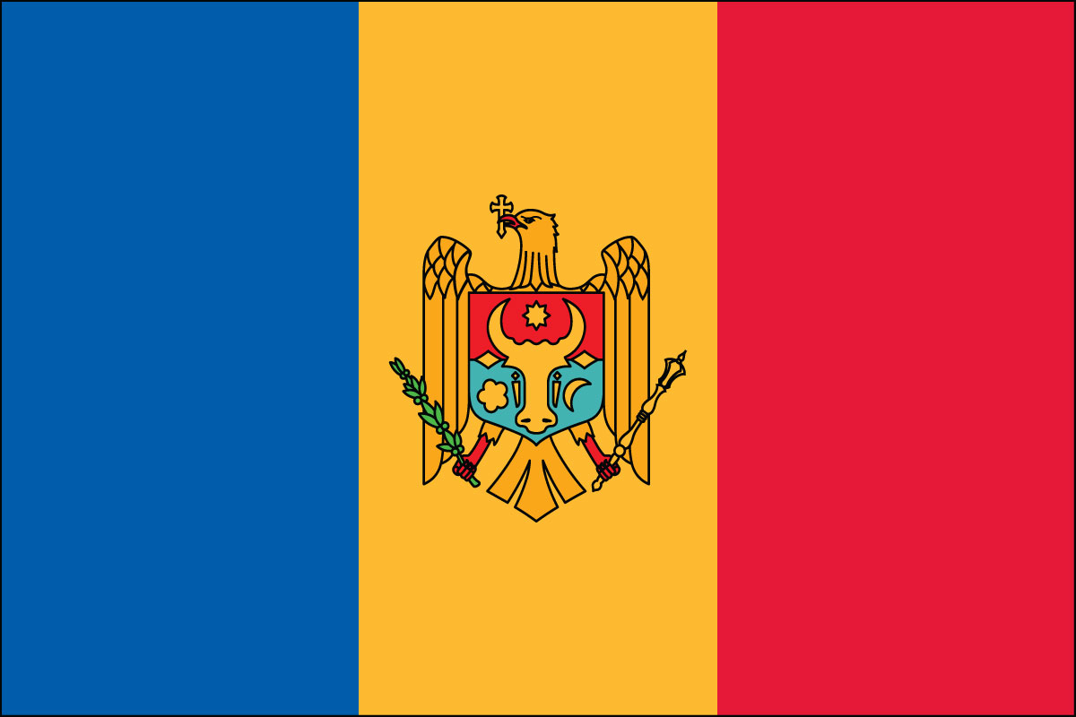 2x3' Poly flag of Moldova