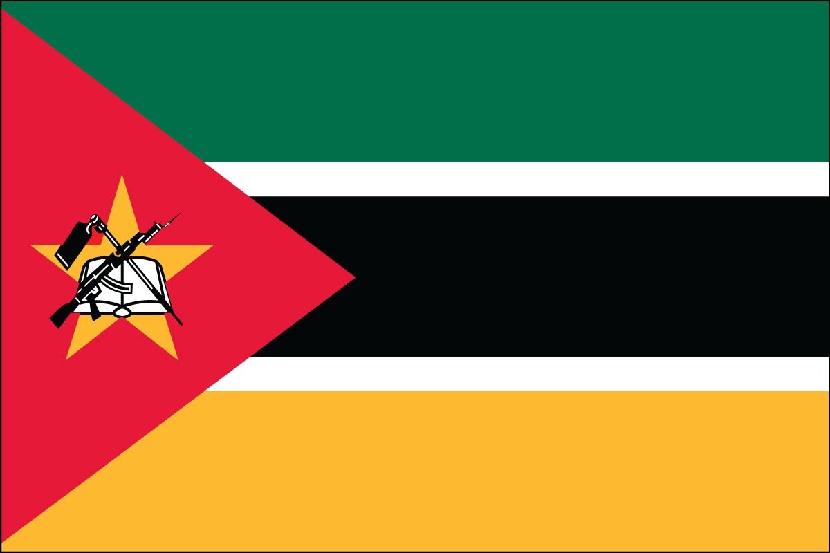 12x18" poly flag on a stick of Mozambique
