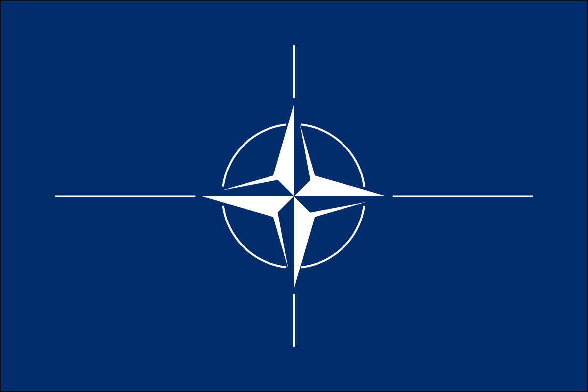 12x18" poly flag on a stick of NATO